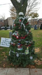 Walk of Trees, Plymouth MI